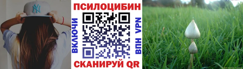 Псилоцибиновые грибы мухоморы  где купить   Слободской 